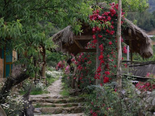 H'Mong Co Tran Sapa Homestay Exteriér fotografie