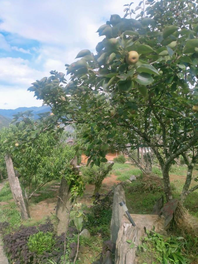 H'Mong Co Tran Sapa Homestay Exteriér fotografie