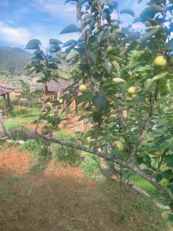 H'Mong Co Tran Sapa Homestay Exteriér fotografie
