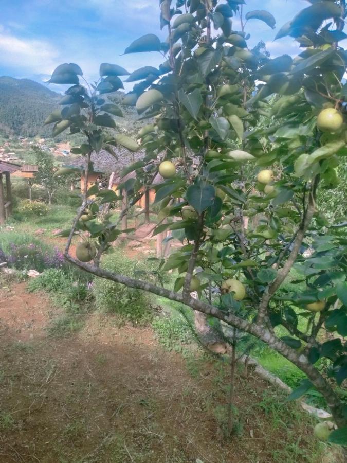 H'Mong Co Tran Sapa Homestay Exteriér fotografie